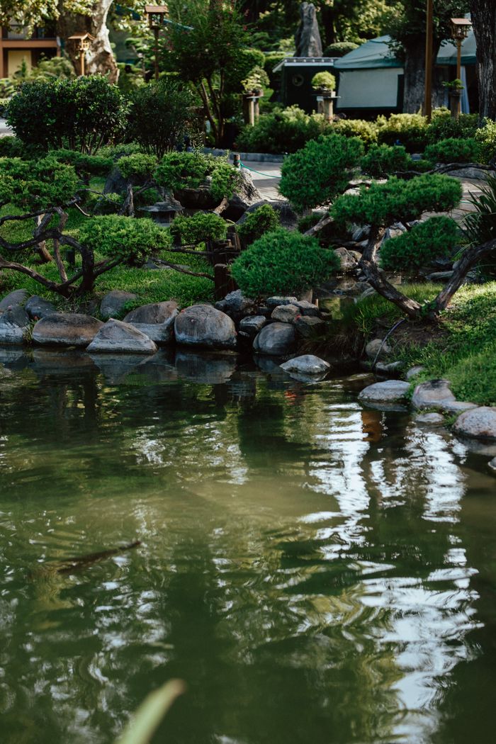 about-02 Serene Japanese garden pond with lush greenery and rocks reflecting in the water.