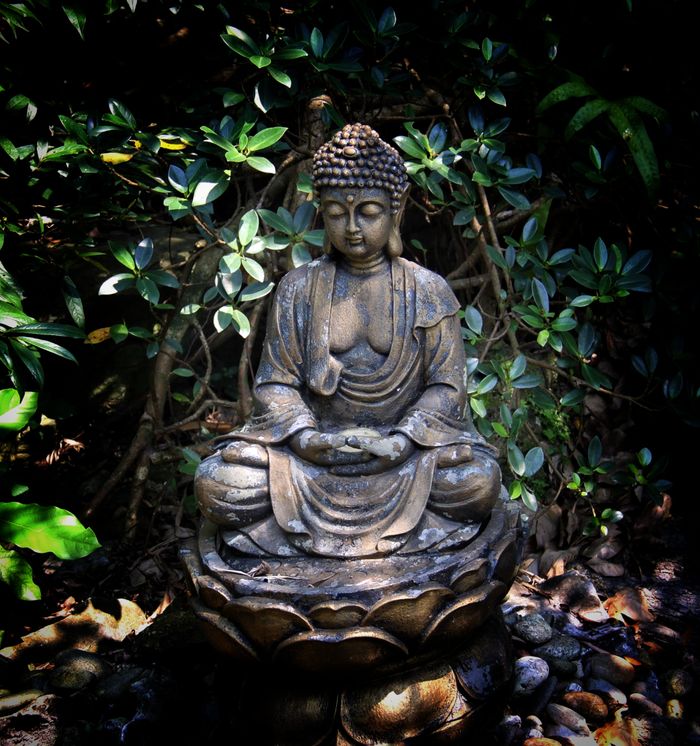 our-experience Serene Buddha statue surrounded by lush greenery in a peaceful garden.
